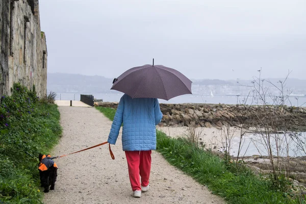 Σκύλος Τον Ιδιοκτήτη Του Περπατώντας Στη Βροχή — Φωτογραφία Αρχείου