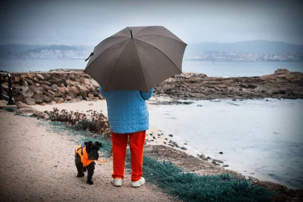 带着雨伞和她的狗沿着海岸散步的女人 — 图库照片