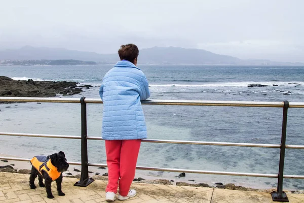 Ηλικιωμένη Γυναίκα Σκύλο Της Γέρνει Στο Κιγκλίδωμα Κοιτάζοντας Θάλασσα — Φωτογραφία Αρχείου