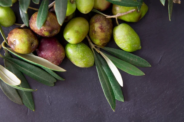 Natural Olives Leaves Black Background — Stock Photo, Image