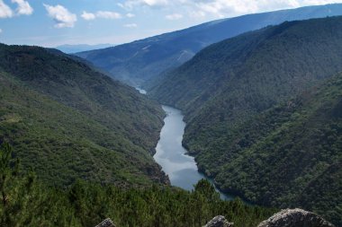 Sil Kanyonu 'nun manzarası Dük, Ribeira Sacra, Bizim, Galiçya, İspanya