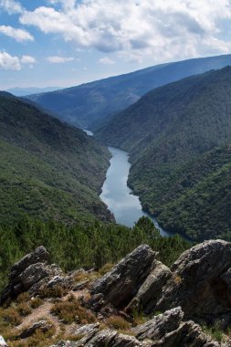 Sil Kanyonu 'nun manzarası Dük, Ribeira Sacra, Bizim, Galiçya, İspanya