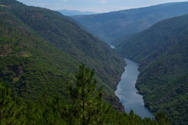 Sil Kanyonu 'nun manzarası Dük, Ribeira Sacra, Bizim, Galiçya, İspanya