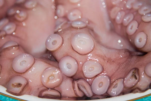 Tentacoli Polpo Freschi Isolati Frutti Mare — Foto Stock