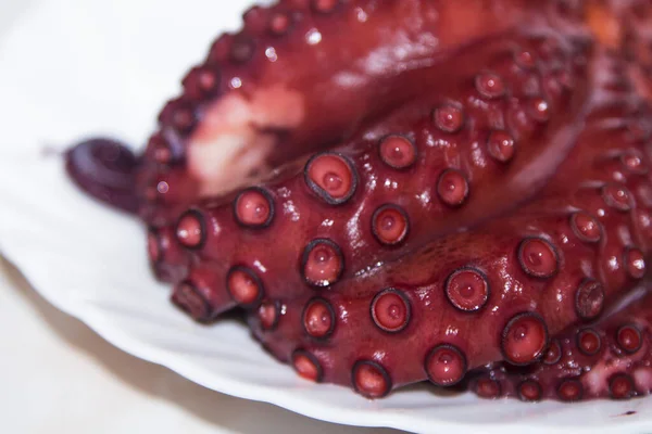 Gotowane Macki Ośmiornicy Izolowane Owoce Morza — Zdjęcie stockowe