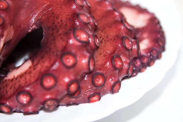 Smakelijke Tentakels Van Gekookte Octopus Zeevruchten — Stockfoto