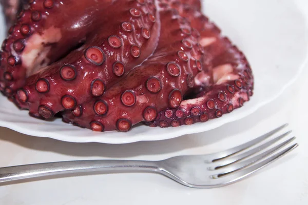 Smakelijke Tentakels Van Gekookte Octopus Zeevruchten — Stockfoto