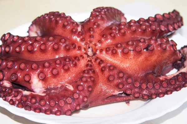 Tentáculos Saborosos Polvo Cozido Frutos Mar — Fotografia de Stock