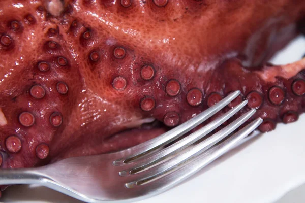 Tentáculos Polvo Cozidos Isolados Frutos Mar — Fotografia de Stock