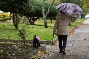 Sonbaharda şemsiyeli bir kadın köpeğiyle parkta yürüyor.