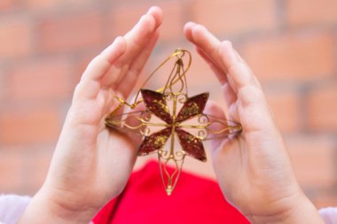 Elele tutuşan Noel yıldızı, mutlu noeller