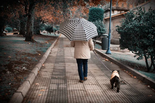 Frau Geht Mit Hund Und Regenschirm Spazieren — Stockfoto