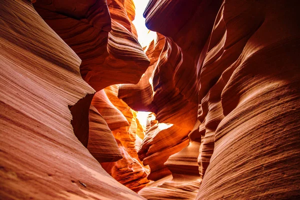 Canyon Inférieur Antilope Arizona Etats Unis — Photo