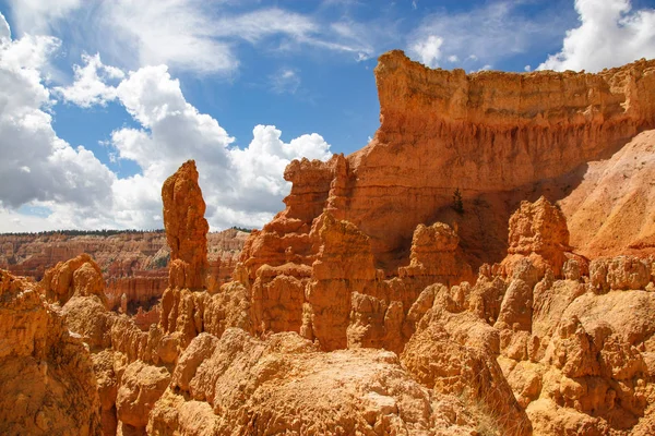 Bryce Canyon National Park Utah Usa — Stock Photo, Image