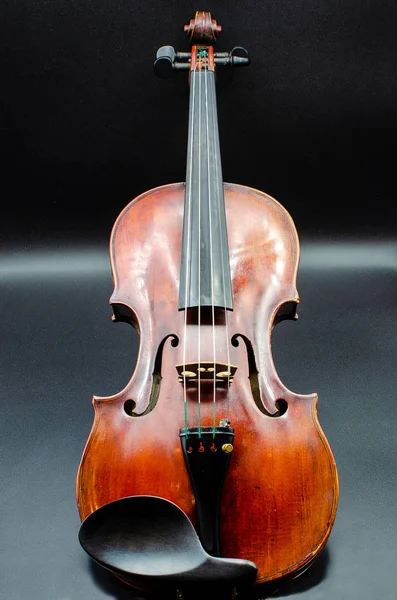 Bir biraz kırmızı renkli profesyonel keman ile tüm dört teli, bir chinrest ve bir kısım iyi bir TV tarayıcısı ile karanlık bir arka plan üzerinde izole e dizesi için stüdyo çekim