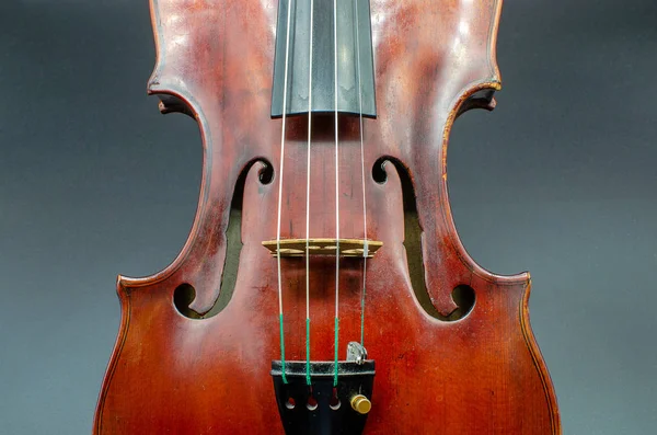 Bel bir görünüm ve odak f delikleri ve gri bir arka plan üzerinde izole bir stüdyoda çekim köprü ile profesyonel keman