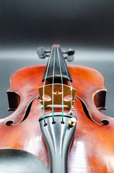 Professional violin as of the players angle of view with the focus on the bridge shot in a studio with similar to a concert light lighting