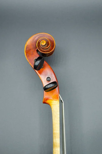 Testa Violino Professionale Con Due Picchetti Legno Neri Corde Isolate — Foto Stock