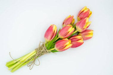 Beyaz bir arka plan üzerinde izole bir ip ile buket pembe sarı laleler bağlı