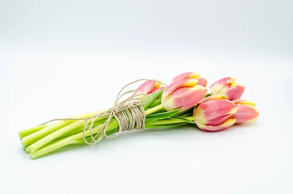 Buquê Tulipas Amarelas Rosa Amarrado Com Uma Corda Isolada Fundo — Fotografia de Stock