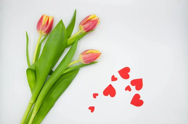 Bunch Beautiful Fresh Pink Yellow Tulip Flowers Red Heart Shaped — Stock Photo, Image
