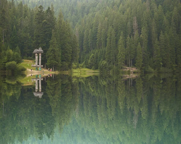 Durgun su ve kristal berraklığında yansıma bir antik çam ağacı orman tarafından çevrili güzel dağ Gölü