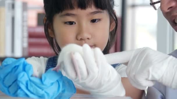研究室でテストをしてる小アジア人の女の子 — ストック動画