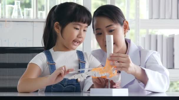 Malá Asijská Dívka Učení Medicína — Stock video