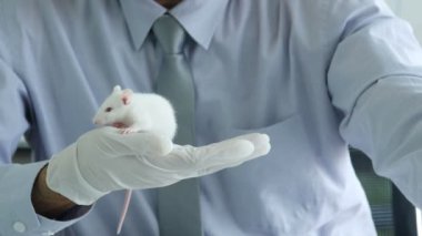 Laboratuvarda fare tutan genç Asyalı adam. 