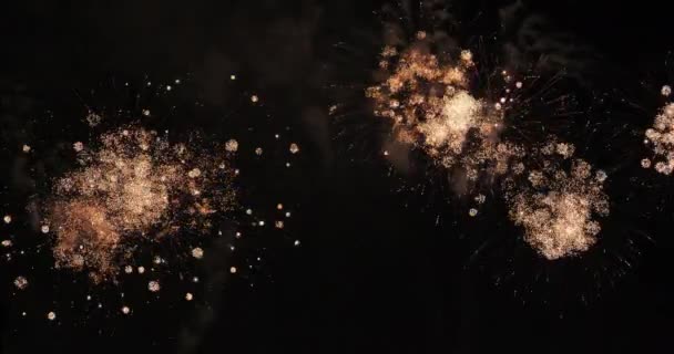 Beelden Van Vuurwerk Aan Nachtelijke Hemel — Stockvideo