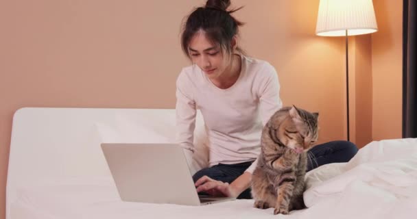 Cute Pretty Lady Using Laptop Her Tabby Cat Bed — Stock Video