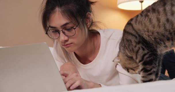 可愛いです可愛いです女性はノートパソコンを使ってベッドの上で猫と — ストック動画