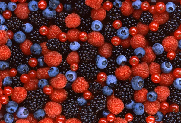Berries Texture in flat lay angle.