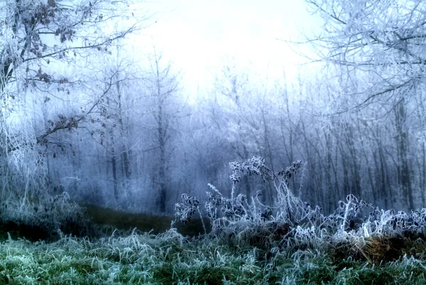 Frozen Landscape Piedmont Northern Italy Winter — Stock Photo, Image