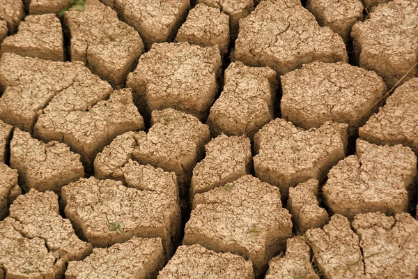 Grietas Suelo Seco — Foto de Stock