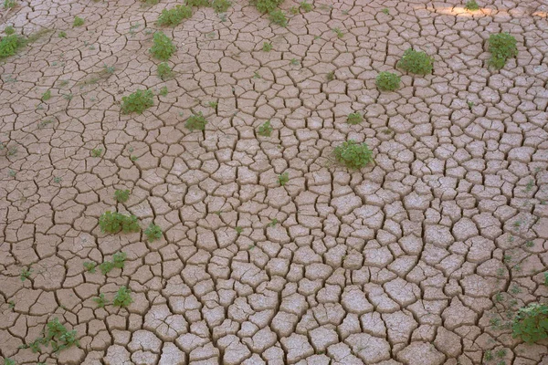 Трещины Сухой Почве — стоковое фото