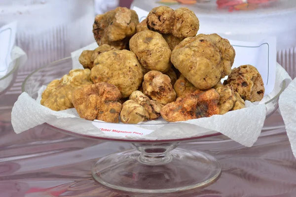 Group of white truffles in Italian market.
