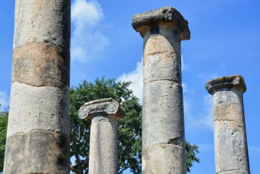 Sepino, Molise, İtalya. Altilia Sepino, Campobasso eyaletinde bulunan sit alanı. Roma kentinin adı Altilia gösterir.