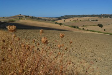 Güney İtalya Molise kırsalında güneşli manzara.