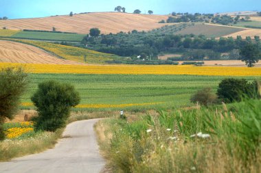 Güney İtalya Molise kırsalında güneşli manzara.