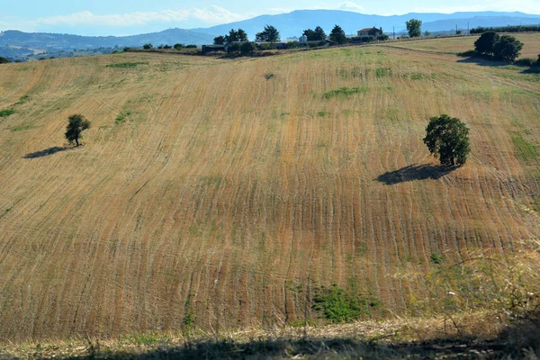 Paysages ensoleillés dans la campagne molise dans le sud de l'Italie . — Photo