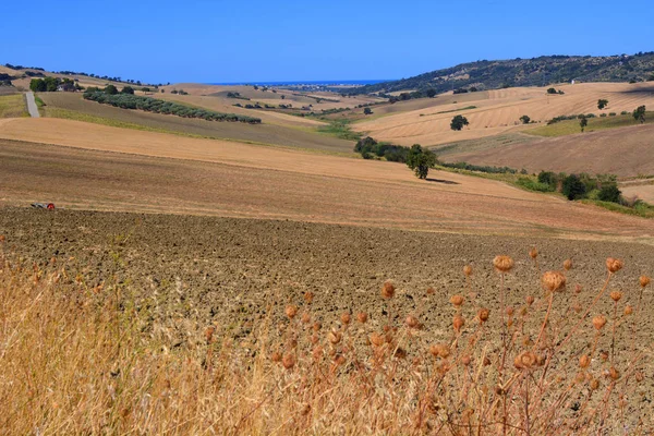 Paesaggi soleggiati nella campagna molisana nel sud Italia . — Foto Stock