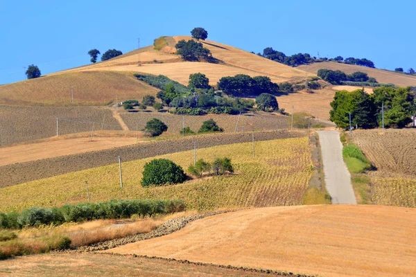 Paesaggi soleggiati nella campagna molisana nel sud Italia . — Foto Stock