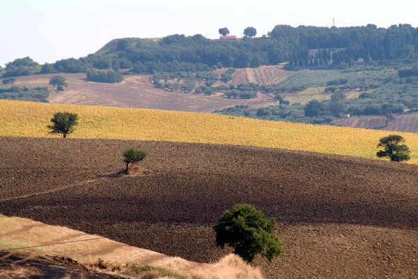 Sonnige Landschaften in der feuchten Landschaft Süditaliens. — Stockfoto