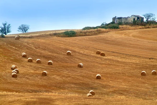 Sunny landscapes in the Molise countryside in  southern Italy. — Stock Photo, Image