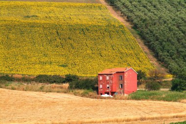 Güney İtalya Molise kırsalında güneşli manzara.