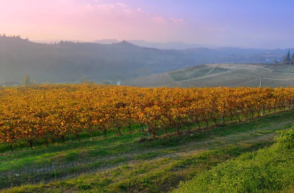 Vue sur les vignobles de Langhe Roero Monferrato, patrimoine mondial de l'UNESCO — Photo