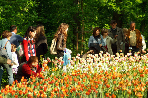 Пралормо, Пьемонт, Италия. -04-25-2009 - Messer Tulipano gardening exhibition with spring tulips blooming at Pralormo Castle
.