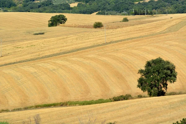 Paysages ensoleillés dans la campagne molise dans le sud de l'Italie . — Photo