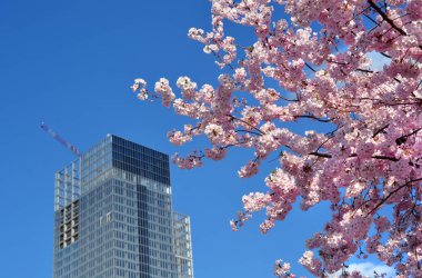 Torino, Piedmont/Italya-03/19/2019-Piedmont bölgesi gökdelen inşaat, mimar Fuksas tarafından tasarlanan, Lingotto Nizza Millefonti bölgesinde.